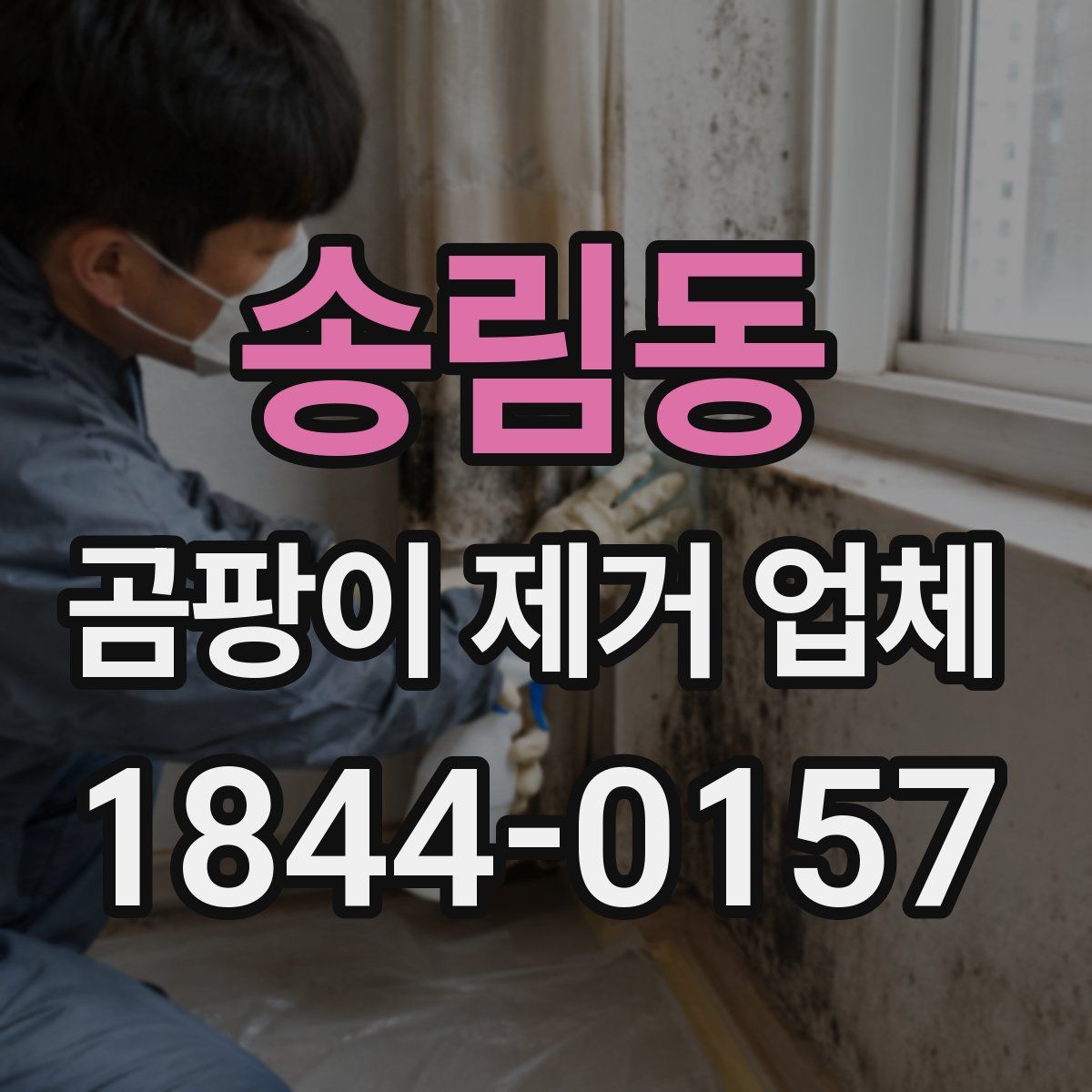 송림동 곰팡이 제거 업체