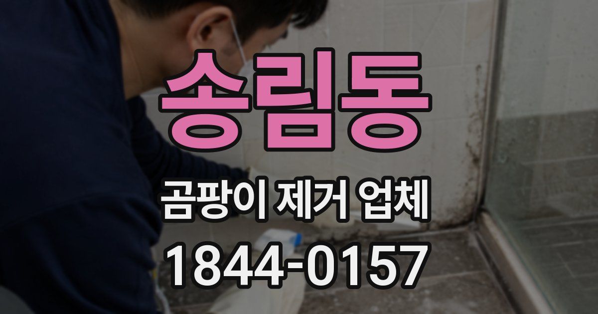 송림동 곰팡이 제거 업체