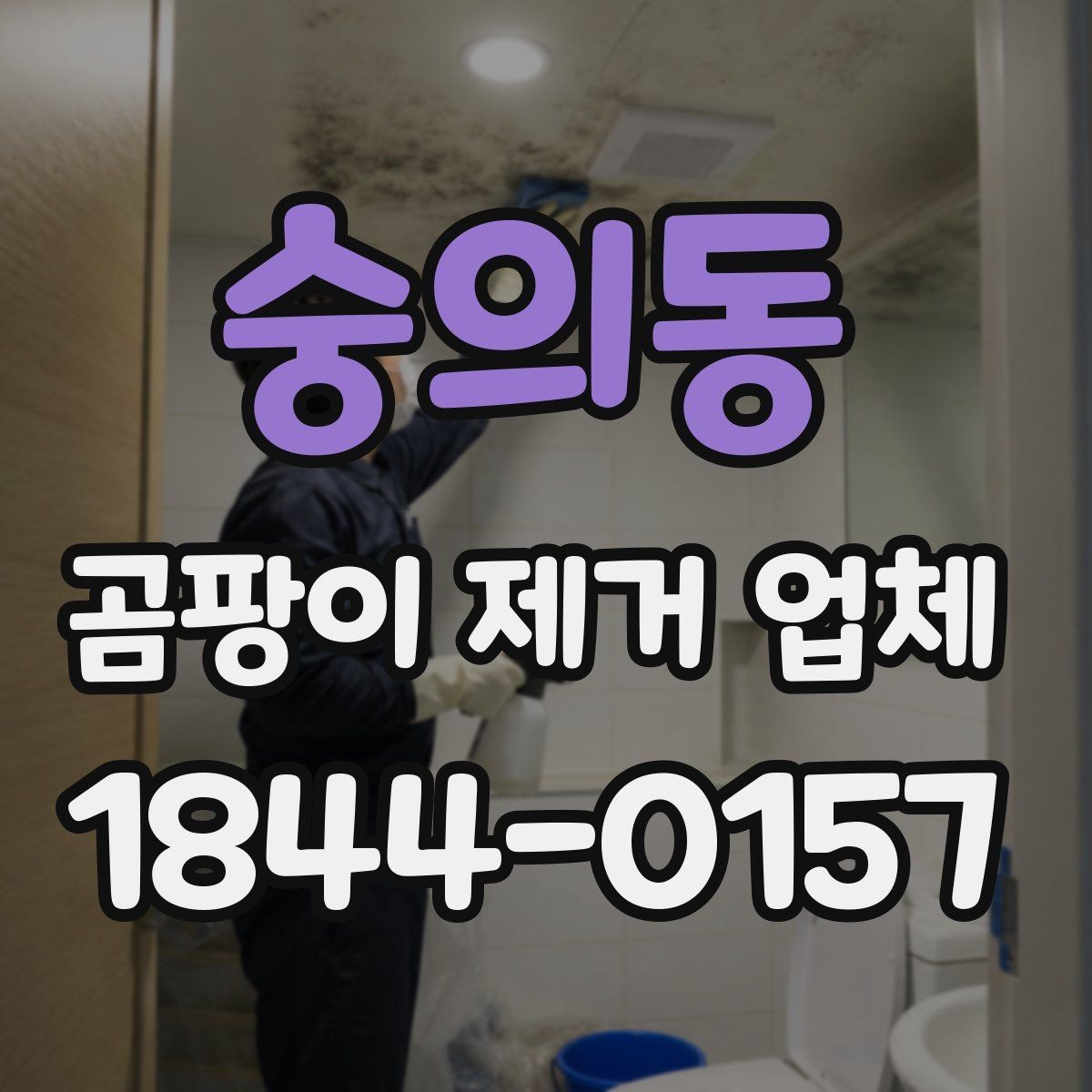 숭의동 곰팡이 제거 업체 선택 전 확인할 기준