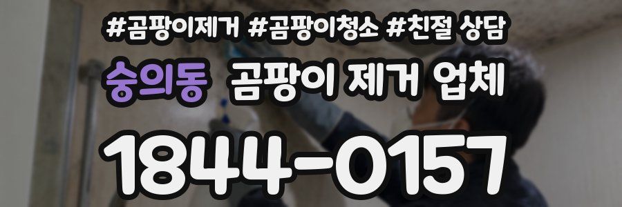 숭의동 곰팡이 제거 업체