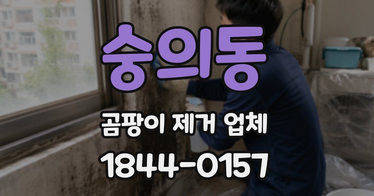 숭의동 곰팡이 제거 업체