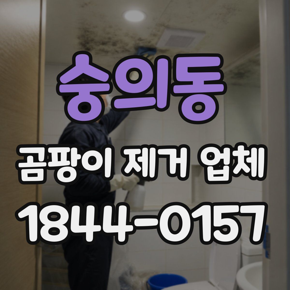 숭의동 곰팡이 제거 업체