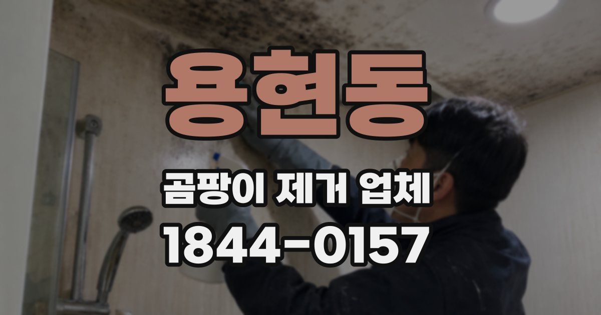 용현동 곰팡이 제거 업체