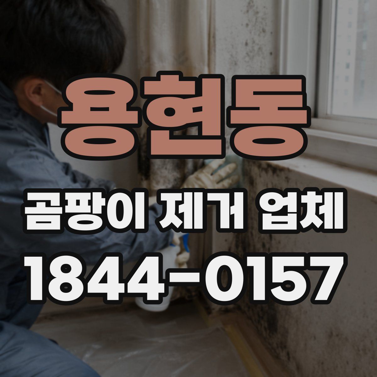 용현동 곰팡이 제거 업체
