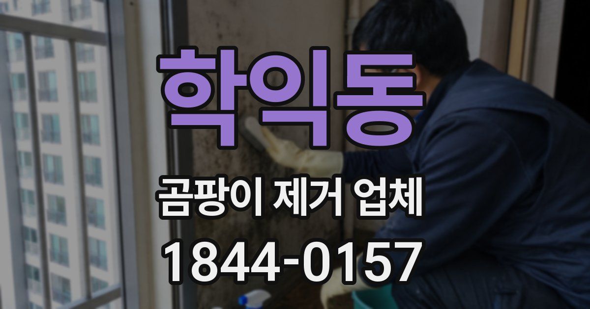학익동 곰팡이 제거 업체