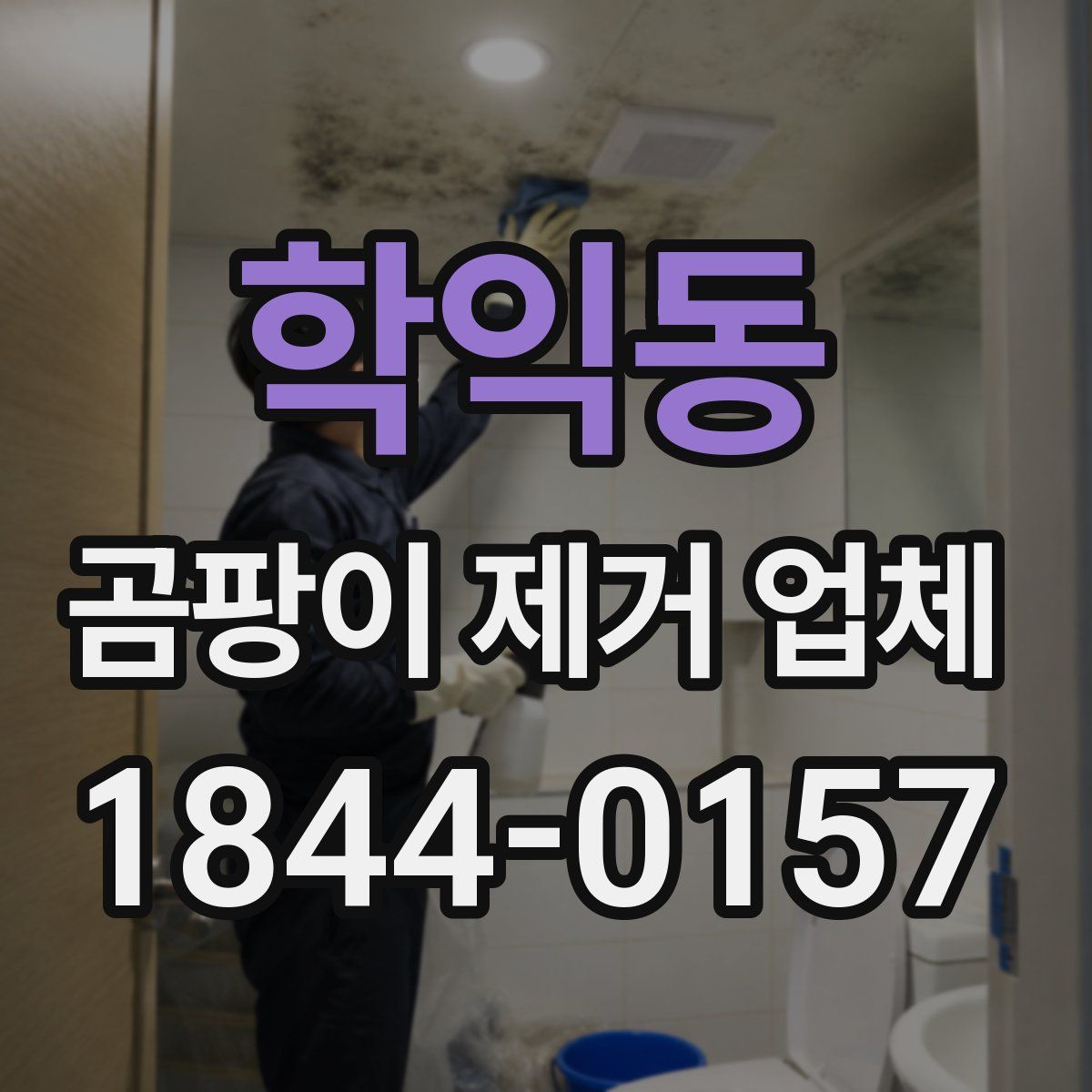 학익동 곰팡이 제거 업체