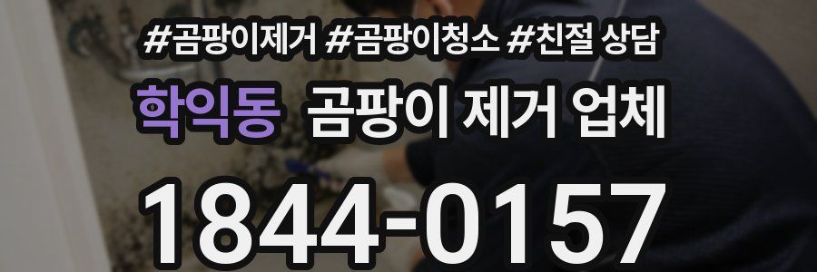 학익동 곰팡이 제거 업체