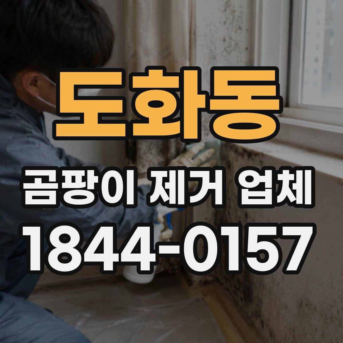 도화동 곰팡이 제거 업체