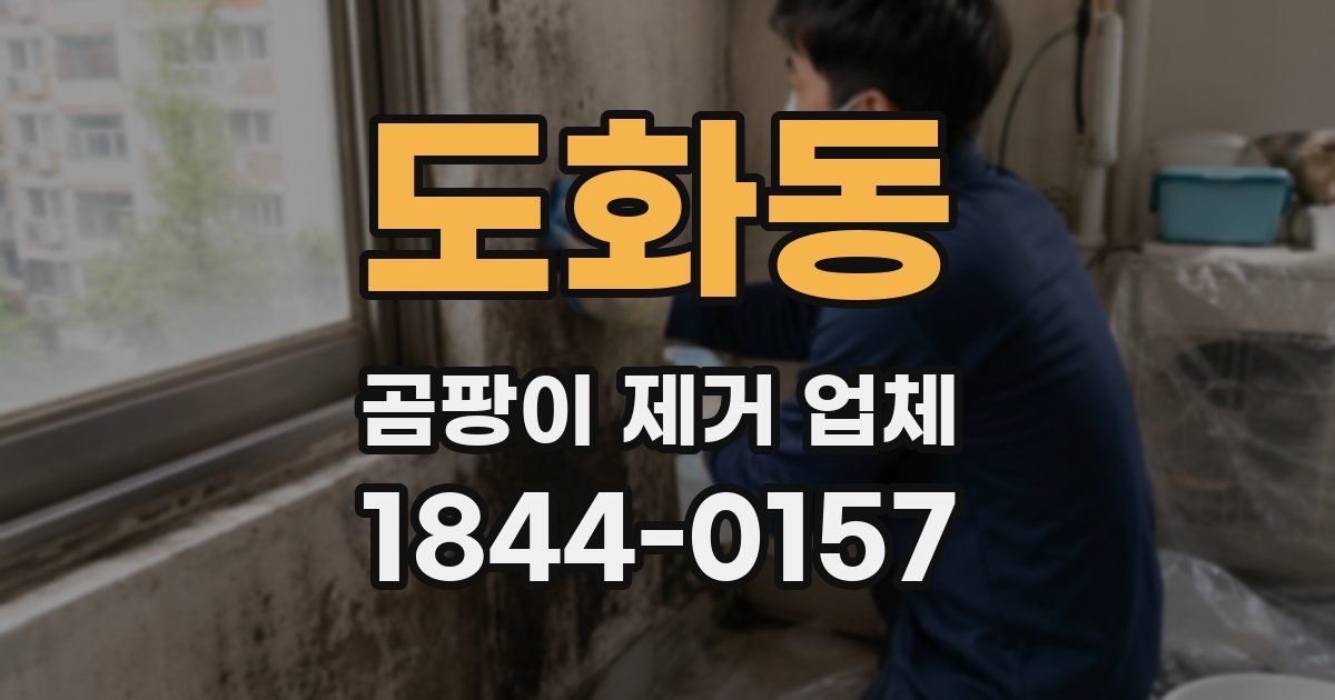 도화동 곰팡이 제거 업체