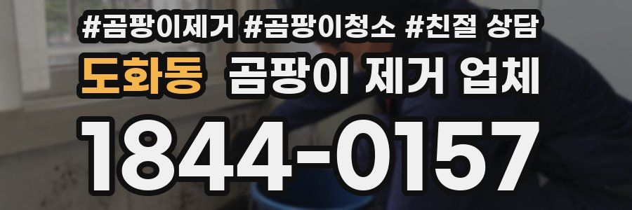 도화동 곰팡이 제거 업체