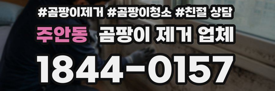 주안동 곰팡이 제거 업체