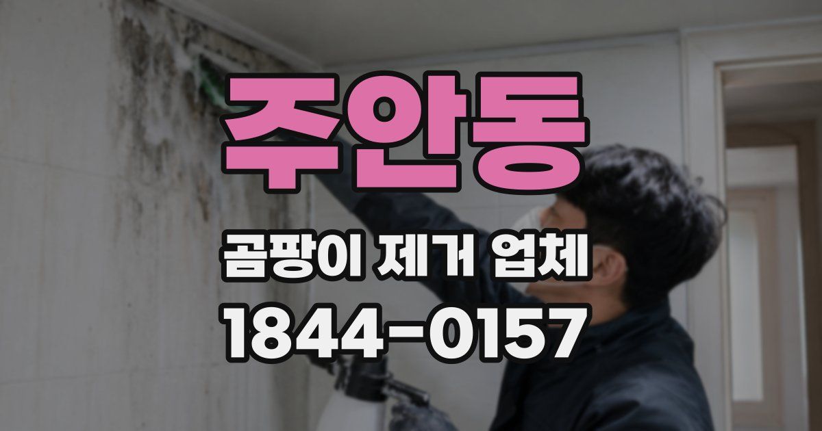 주안동 곰팡이 제거 업체