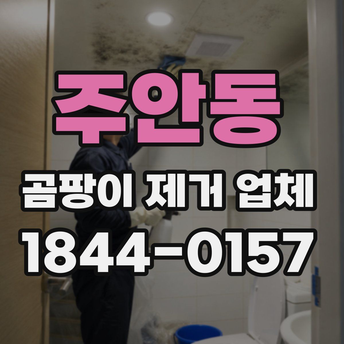 주안동 곰팡이 제거 업체