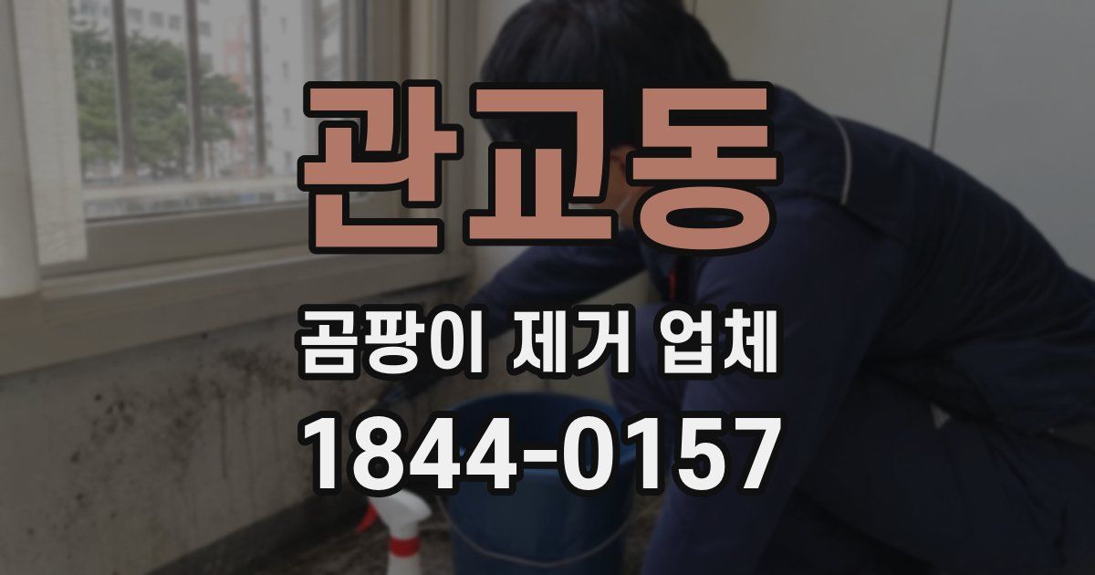 관교동 곰팡이 제거 업체