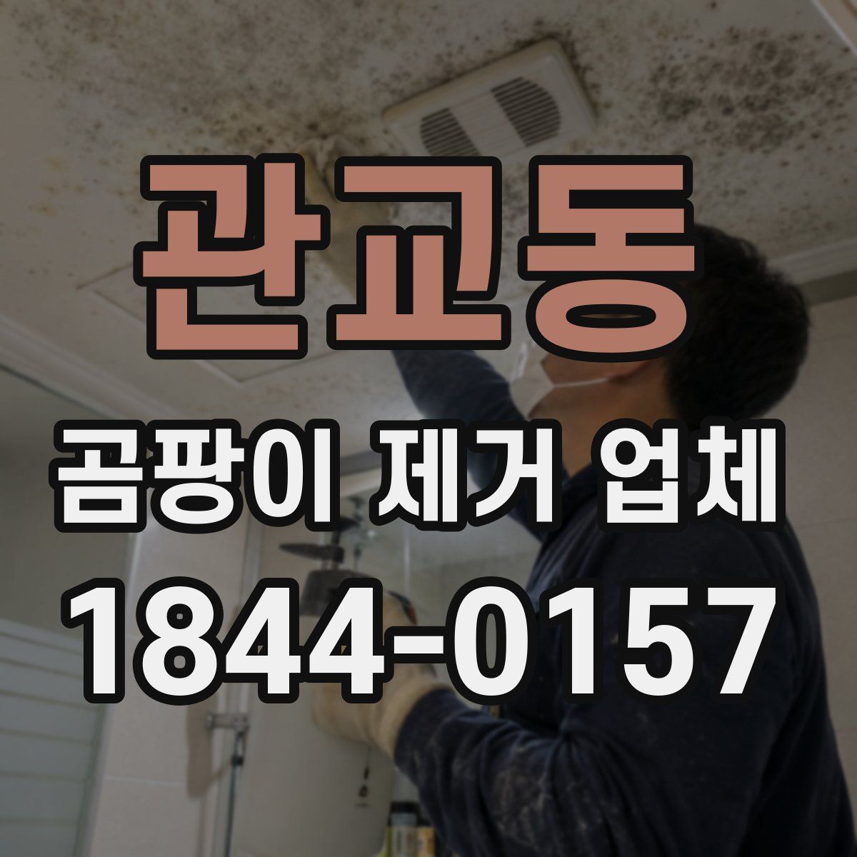 관교동 곰팡이 제거 업체