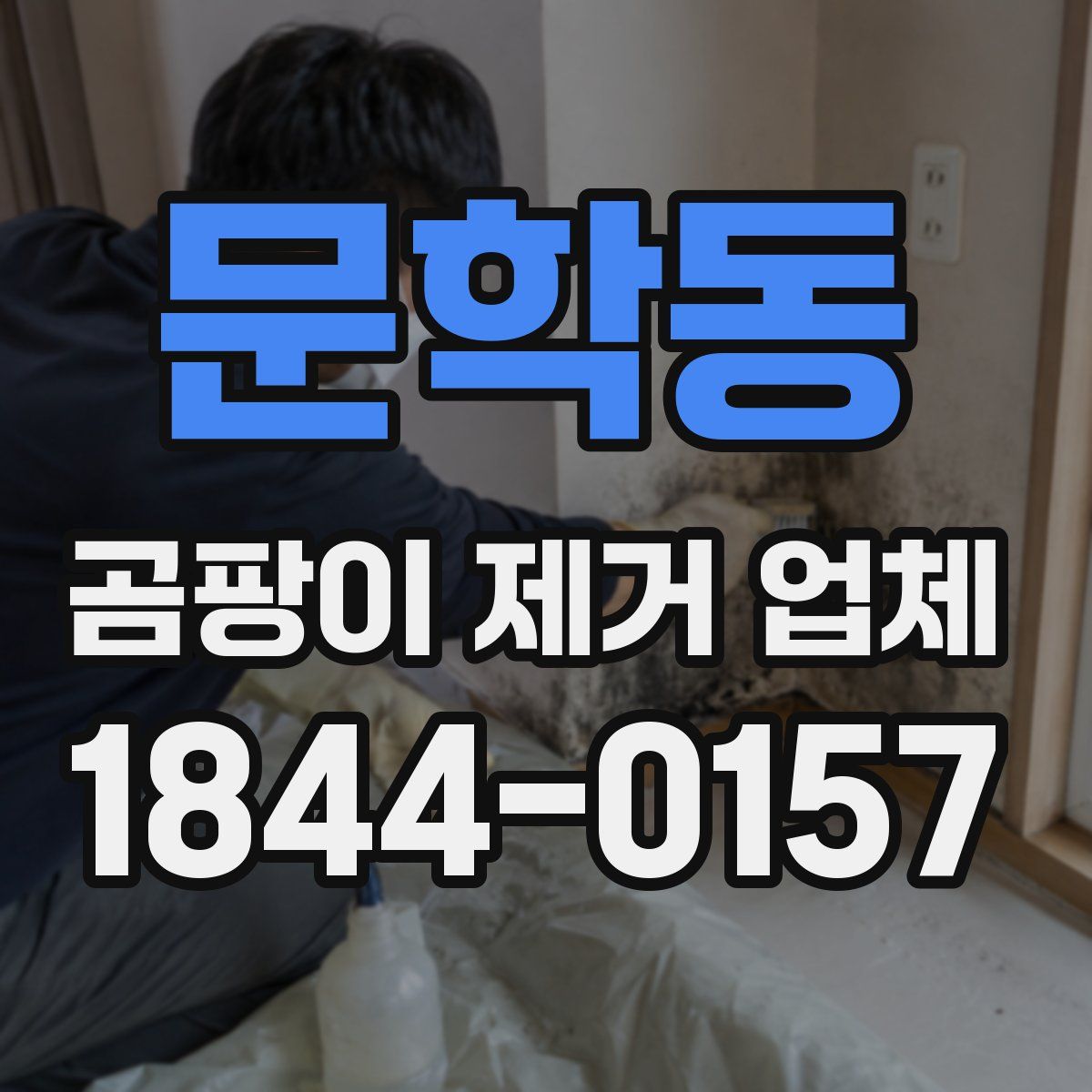 문학동 곰팡이 제거 업체