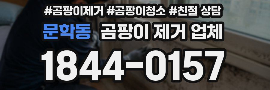 문학동 곰팡이 제거 업체