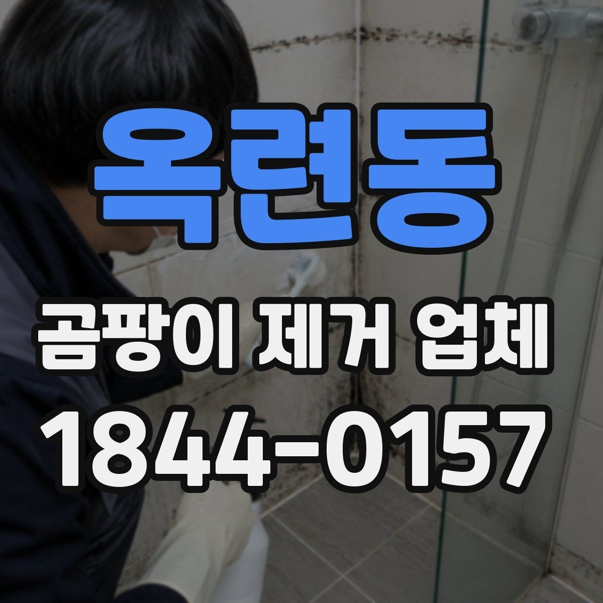 옥련동 곰팡이 제거 업체 서비스 안내에서 확인할 내용
