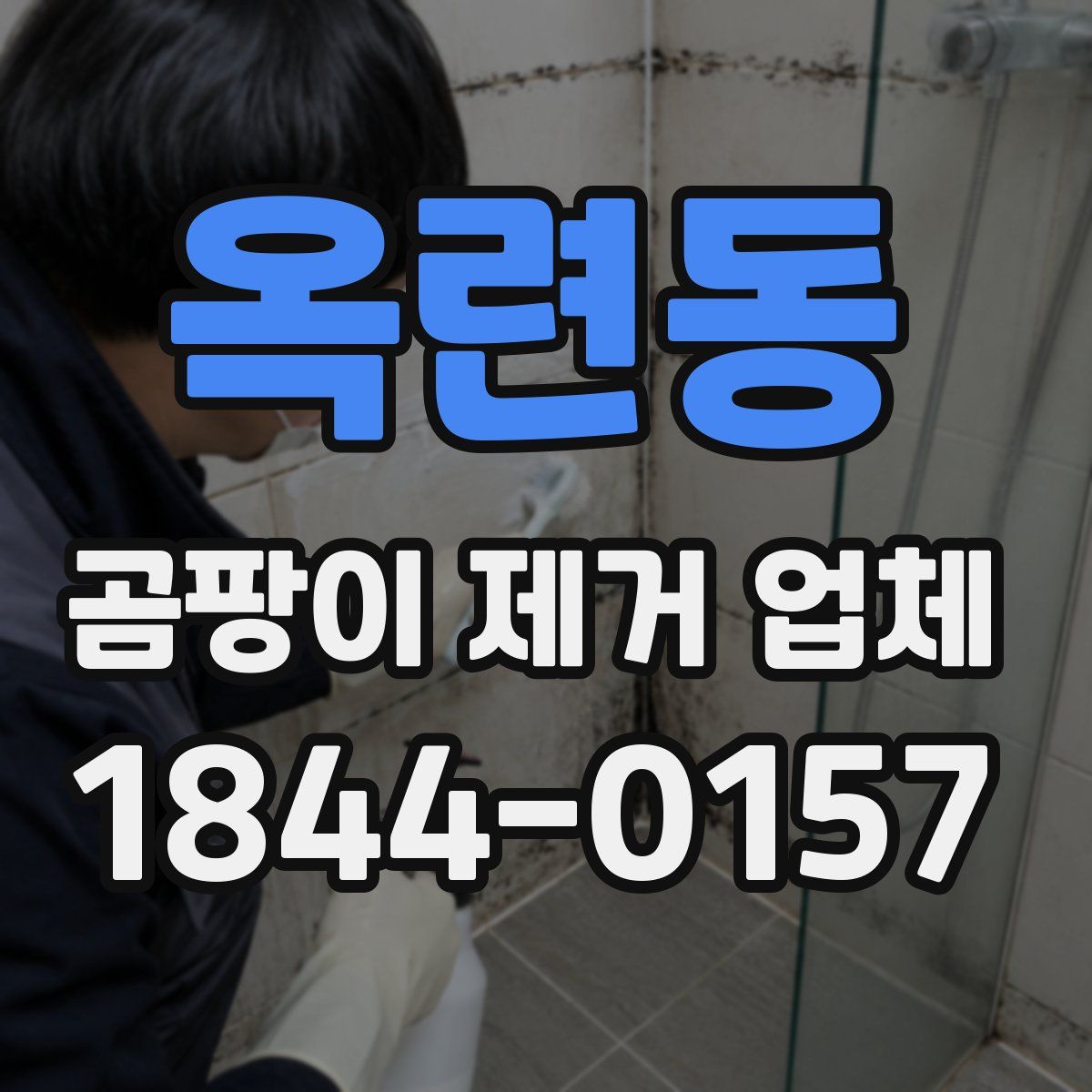 옥련동 곰팡이 제거 업체