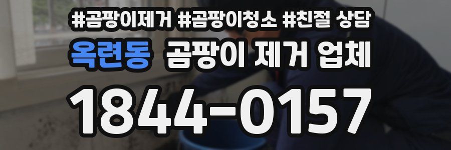 옥련동 곰팡이 제거 업체