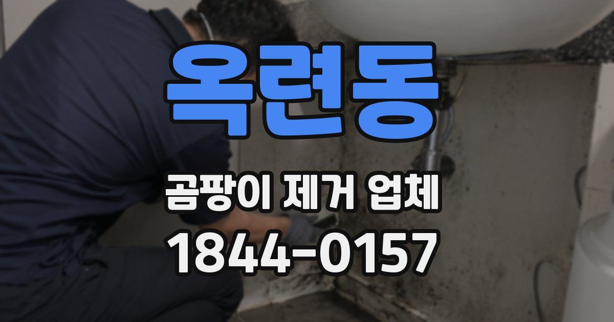 옥련동 곰팡이 제거 업체