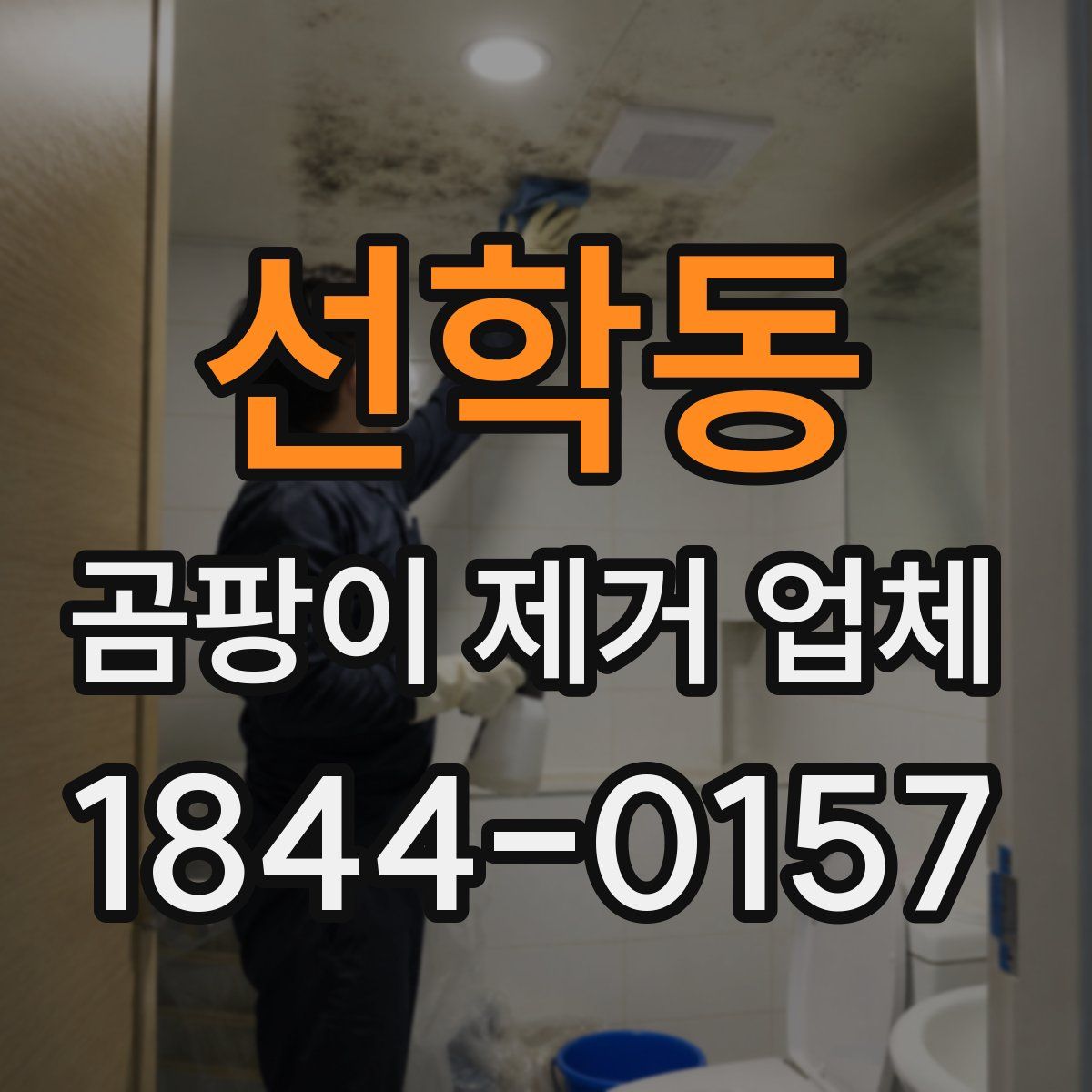 선학동 곰팡이 제거 업체