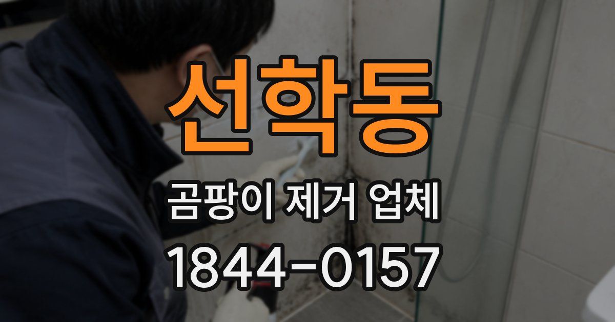 선학동 곰팡이 제거 업체