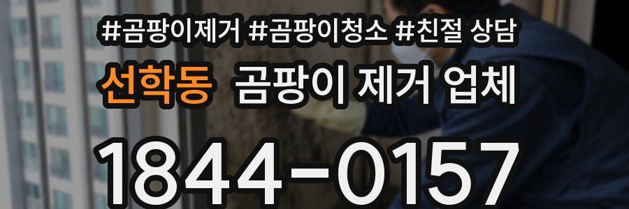 선학동 곰팡이 제거 업체