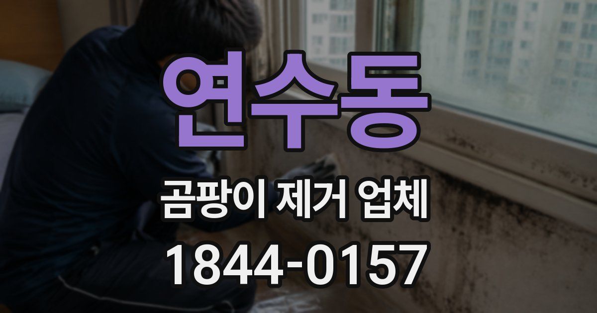 연수동 곰팡이 제거 업체