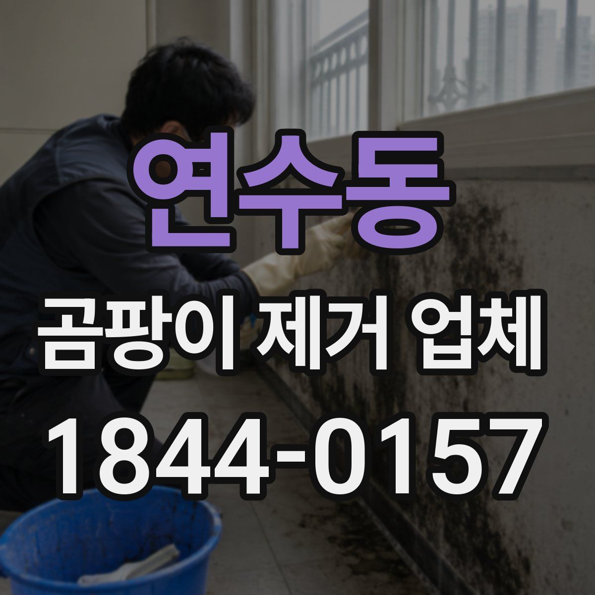 연수동 곰팡이 제거 업체