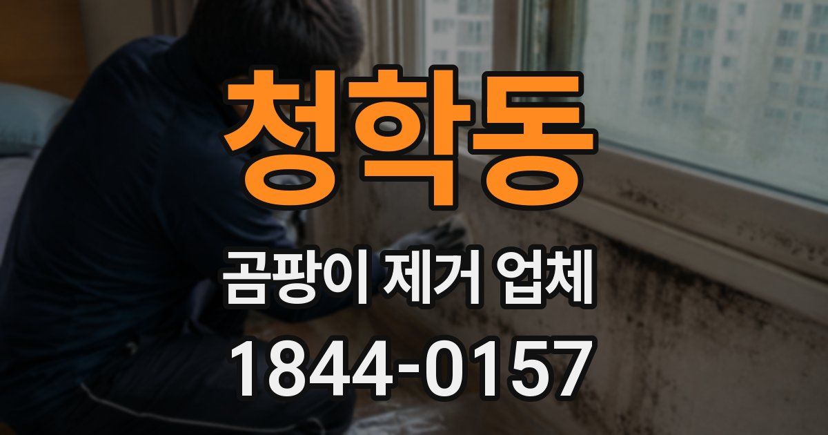 청학동 곰팡이 제거 업체
