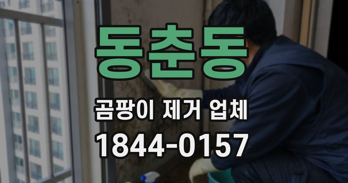 동춘동 곰팡이 제거 업체
