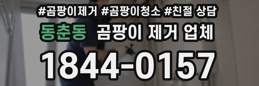 동춘동 곰팡이 제거 업체