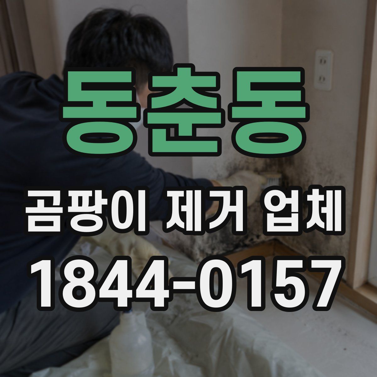 동춘동 곰팡이 제거 업체