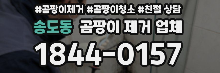 송도동 곰팡이 제거 업체