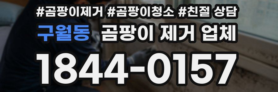 구월동 곰팡이 제거 업체