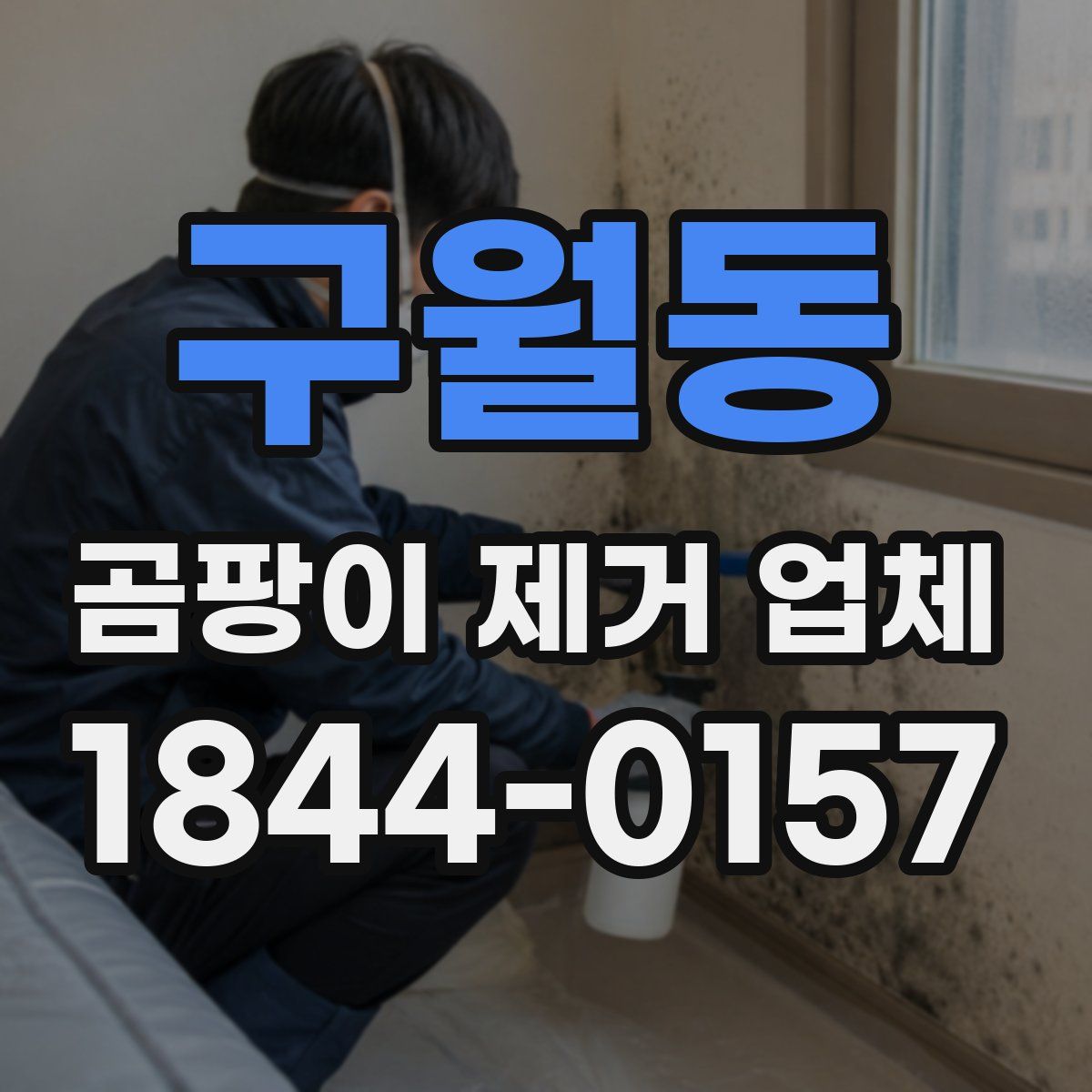 구월동 곰팡이 제거 업체