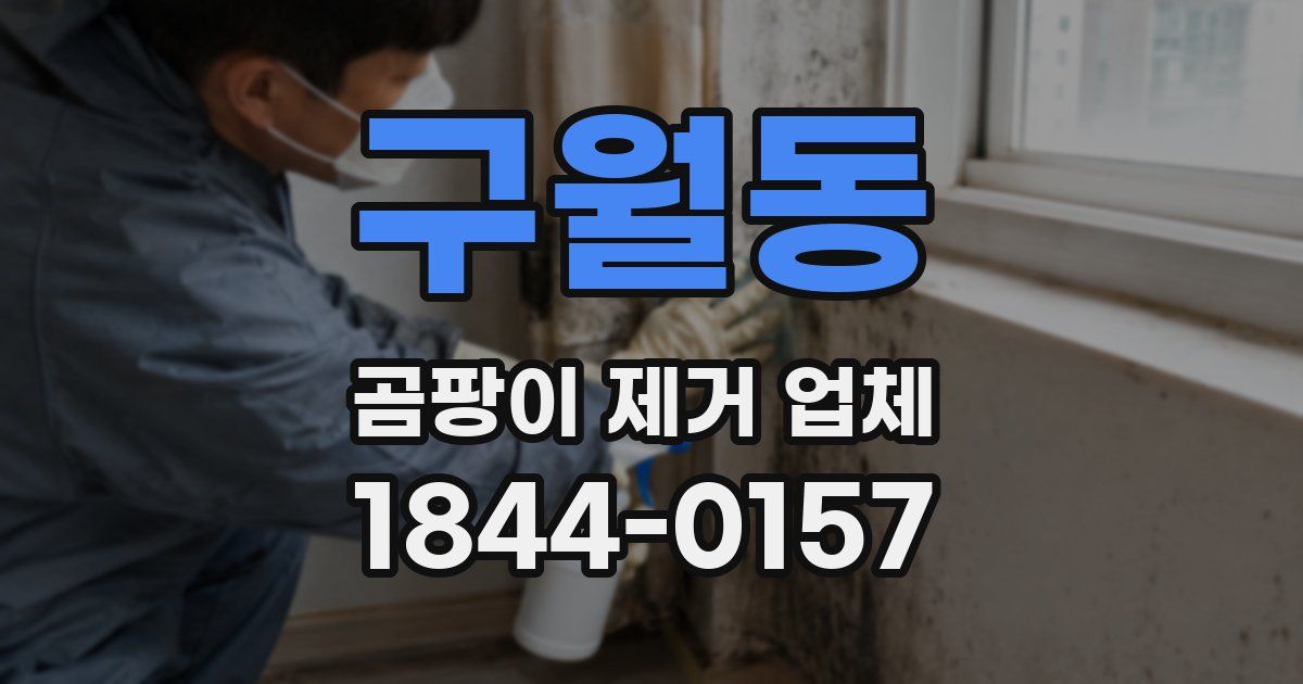 구월동 곰팡이 제거 업체