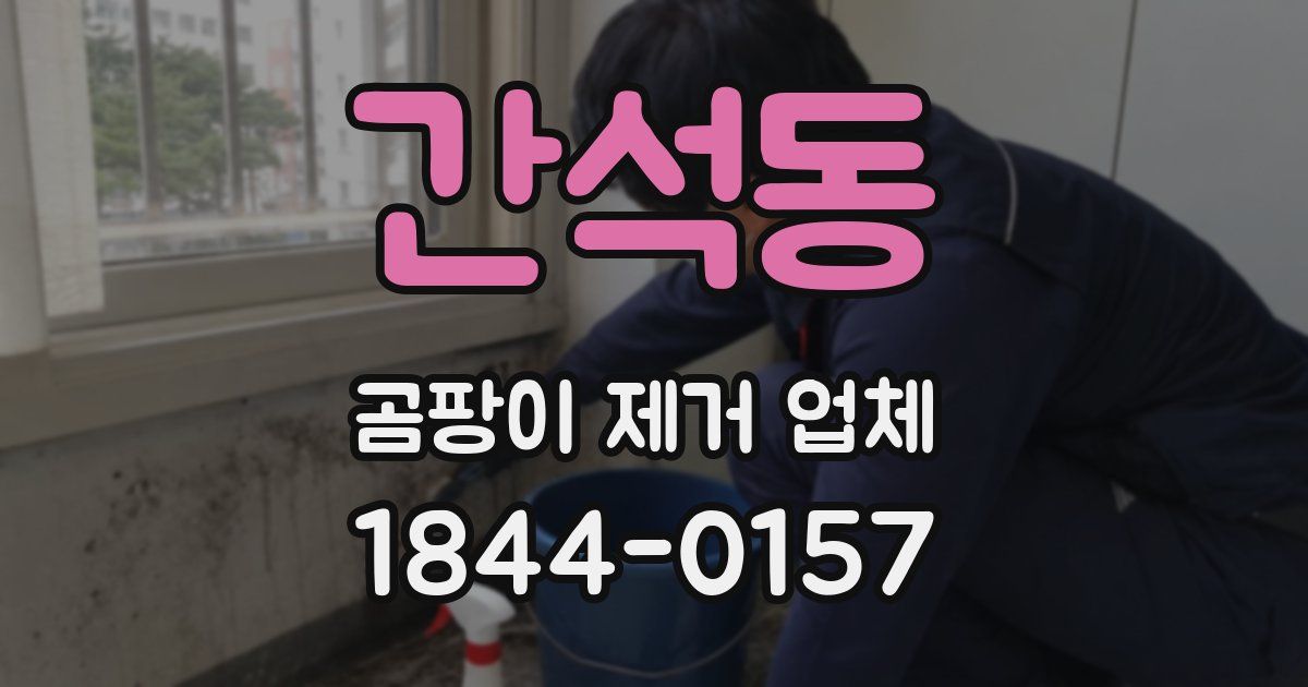 간석동 곰팡이 제거 업체