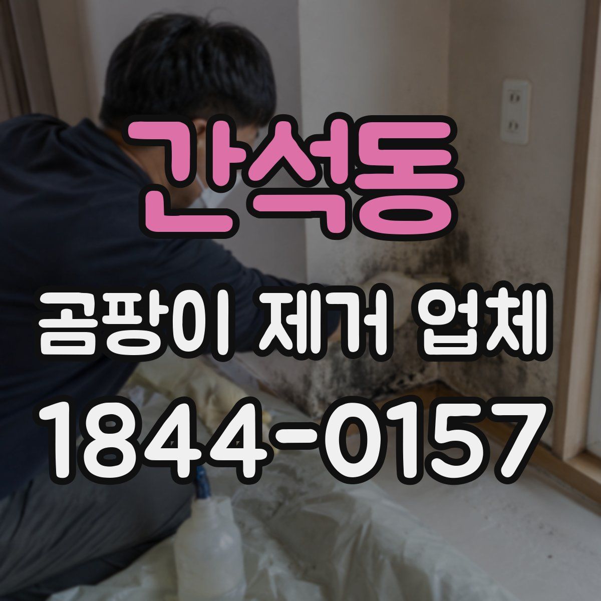 간석동 곰팡이 제거 업체