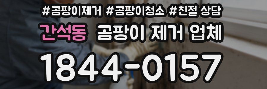 간석동 곰팡이 제거 업체