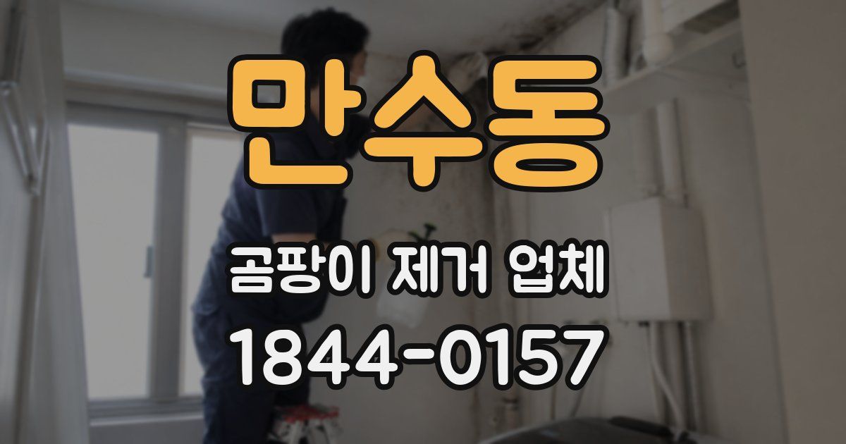 만수동 곰팡이 제거 업체
