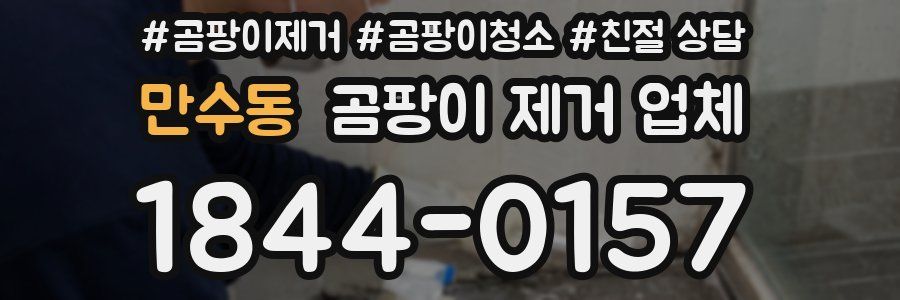 만수동 곰팡이 제거 업체