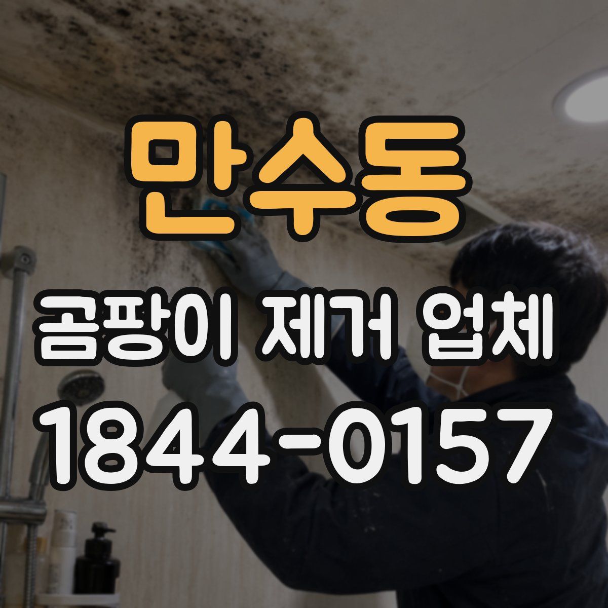 만수동 곰팡이 제거 업체