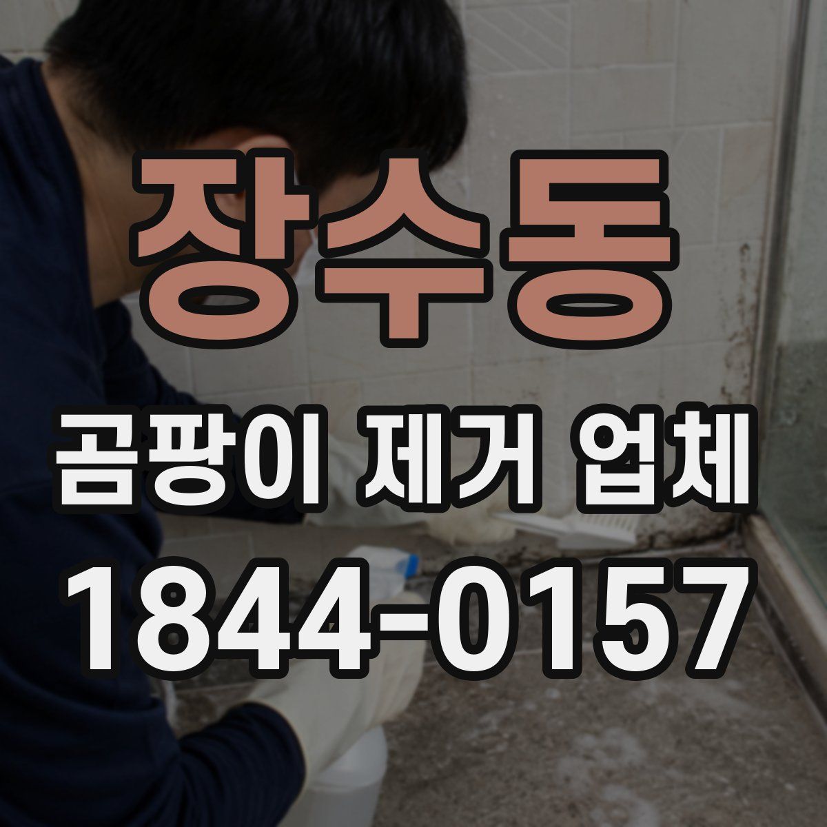 장수동 곰팡이 제거 업체