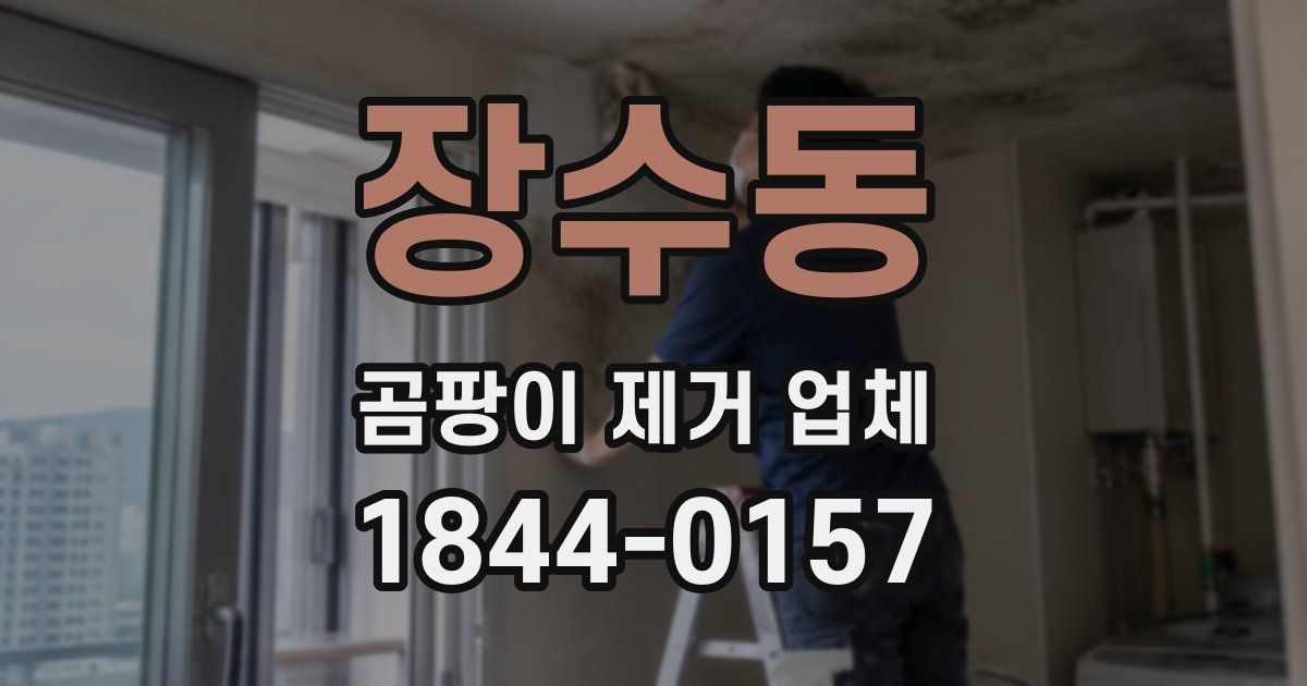 장수동 곰팡이 제거 업체