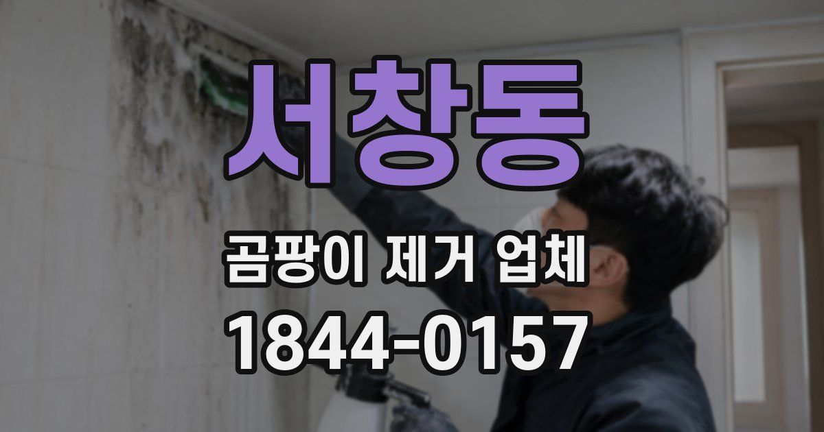 서창동 곰팡이 제거 업체