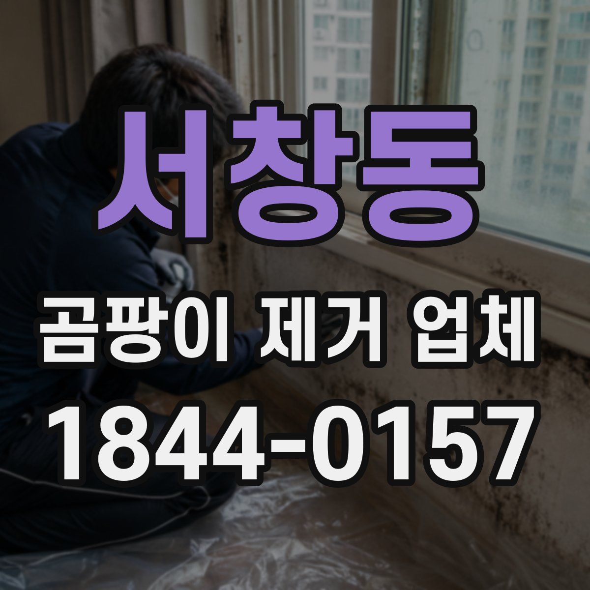 서창동 곰팡이 제거 업체