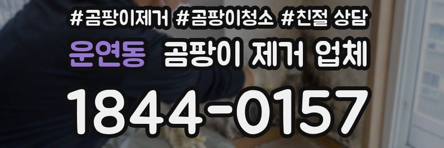 운연동 곰팡이 제거 업체