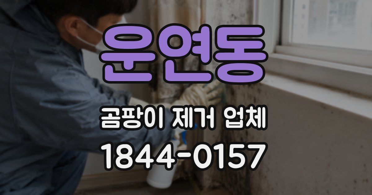 운연동 곰팡이 제거 업체